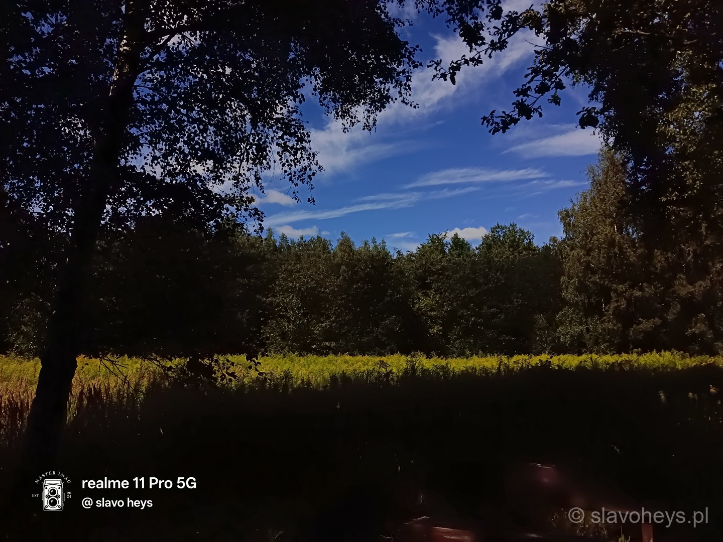 Krótka chwila na spacerze...