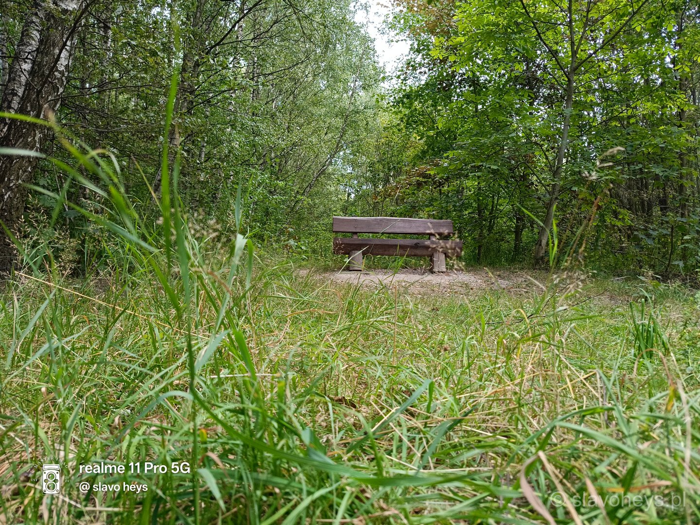 Pusta, czyżby jesień
