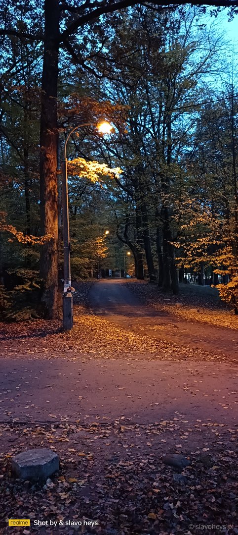 Wieczór w Arturówku