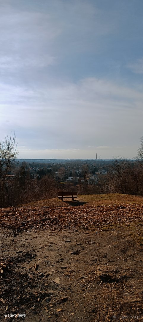 Górka Widokowa "Rogi"